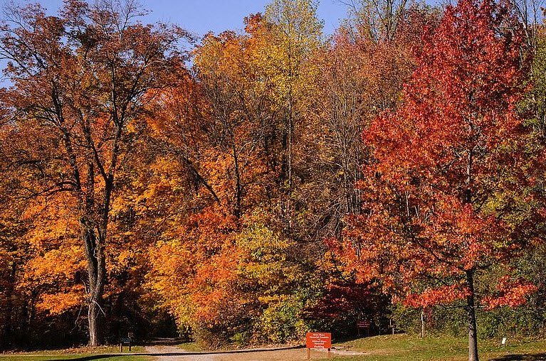 Hayes Arboretum, United States